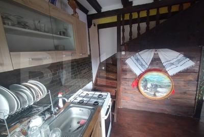 Cabana 2 nivele,88 mp utili,490 mp de teren,terasa,gratar,zona Vip,Baile Figa - 7