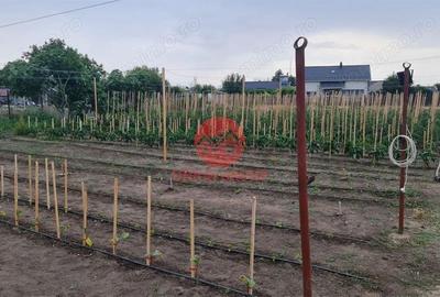 Casă cu Teren 1711 Mp în Topraisar - 2