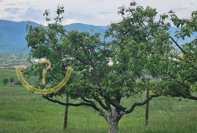 Teren 5.000 mp cu priveliște superbă – Cisnădie, Sibiu - 2