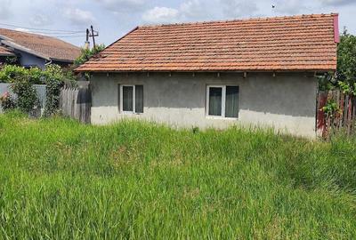 Casă cu Teren 1500 Mp în Otvești - 4