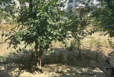 Apartament cu 2 camere nedecomandat în Groapa