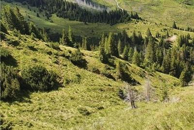 SUPER OPORTUNITATE, DE VANZARE O PROPRIETATE SPECIALA, MUNTELE VARFUL GROAPELE , - 2