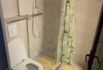 Inchiriere apartament 3 camere mobilat - 8