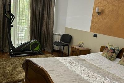 Casa/Vila Trivale - Câmpului, finisaje deosebite, mobilata, teren 1.090mp - 20