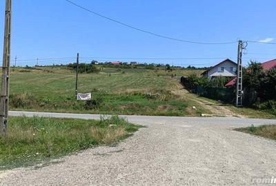 Teren de 2200 mp, în Bucium - 6