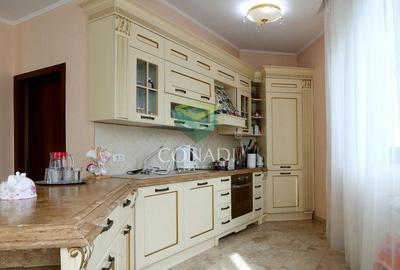 Iancu Nicolae, vila cu 5 camere de vanzare, 356 mp construiti - 8