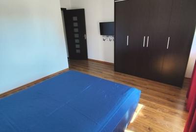 Apartament cu 3 camere decomandat, mobilat în Haliu - 4