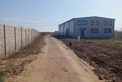 Spațiu comercial, de 495 mp, în Moșnița Veche - 2