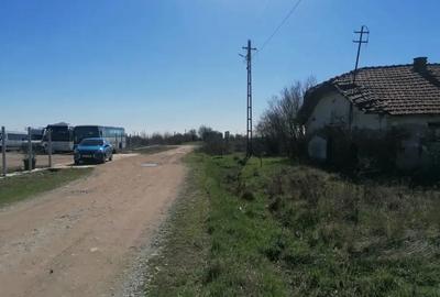 Inchiriez ferma hala depozit spatiu comercial 2550 mp.Silistea jud.Teleorman la 20 km.de A1,60 Buc - 6