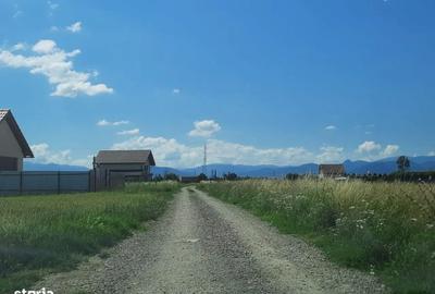 Teren intravilan Harman - 5