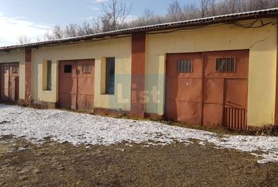 Spațiu industrial, de 600 mp, în Doman - 4