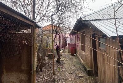 Casă individuală cu 3 camere cu Canalizare în Alexandriei - 5