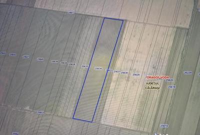 Teren de 35000 mp, în Exterior Vest - 4