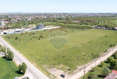 Teren agricol intravilan de 10000 mp, în Domnești - 9