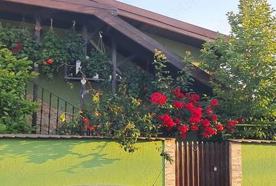 Vand casa Rahova pucheni - 3