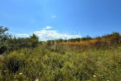 Teren intravilan pentru constructii de vanzare in Chinteni - 2