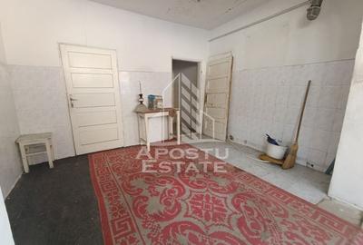 Casa individuala cu teren generos 2158mp, front 12m, livada, Freidorf - 33