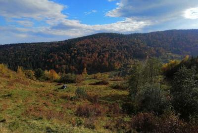 Spațiu comercial, în Central - 1