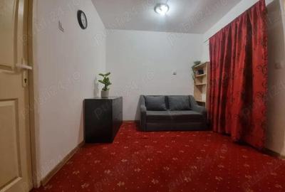 Apartament cu 2 camere semidecomandat în Ozana - 1