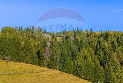 Teren de 13800 mp, în Fundățica - 13