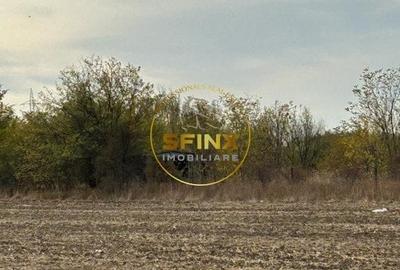 Teren Construcții intravilan de 5600 mp, în Săbăreni