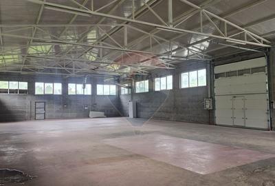 Spațiu industrial, de 540 mp, în Nord-Vest - 13