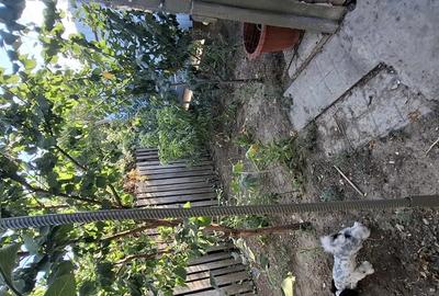 Casă cu 6 camere cu Teren 359 Mp în Mangalia - 7