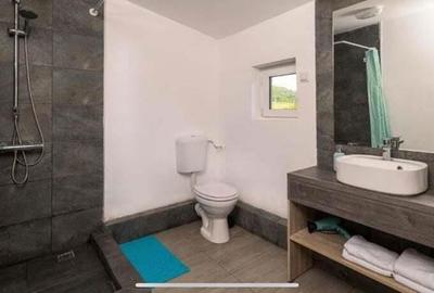 Cerghid - Vanzare pensiune / oportunitate afacere - Str. Principala - 2