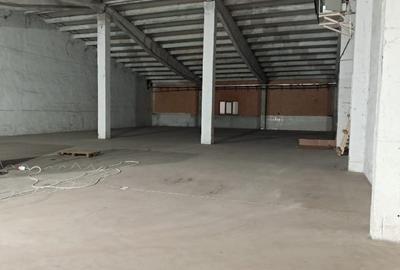 HALA INDUSTRIALA ,DEPOZITARE DE INCHIRIAT - 3