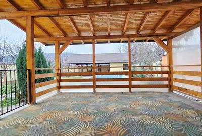 Vila cocheta prevazuta cu beci, terasa, piscina, anexa si teren - 1