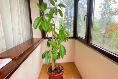 Apartament 2 camere-Podu Ros-Etaj 1-bloc fara risc - 10