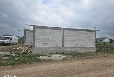 Teren de 10000 mp, în Dobroești - 6