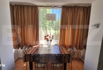Apartament cu 2 camere semidecomandat în Botizului - 13