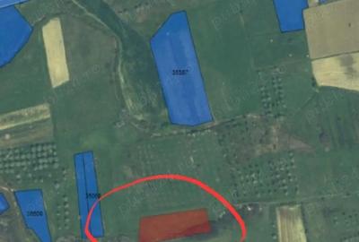 Teren de 2000 mp, în Obreja - 4