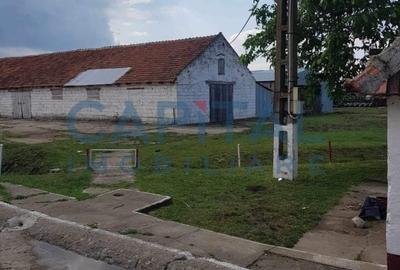 Ferma langa Oravita 5600 mp construiti si teren 24281 intravilan - 3