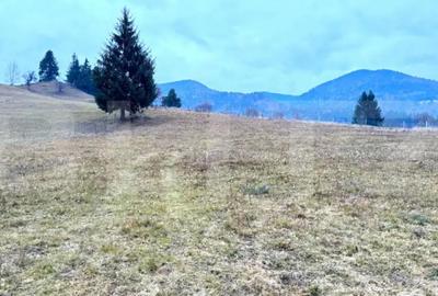 Teren de 2500 mp, în Colibița - 7