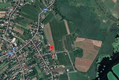 Spațiu comercial, în Gruiu - 1