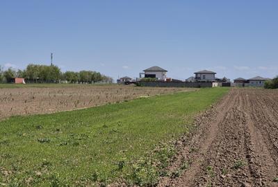 Teren agricol extravilan de 9983 mp, în Berceni - 3