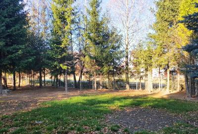 Hotel/Pensiune, de 2,800 mp, în Sâmbăta de Sus - 1