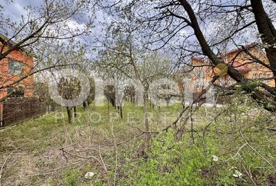 Teren agricol intravilan de 800 mp, în Valea Borcutului - 3