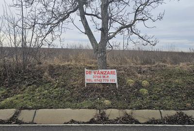 Spațiu comercial, în Central - 2