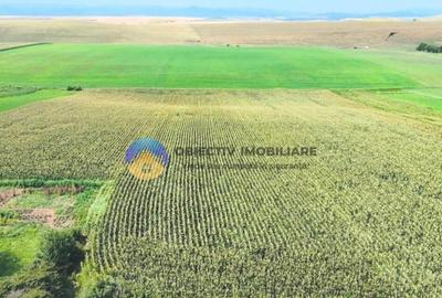 TEREN intravilan 9.126 mp - comuna STEFAN cel MARE - 2