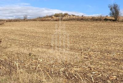 Teren agricol extravilan de 9300 mp, în Șura Mare - 2