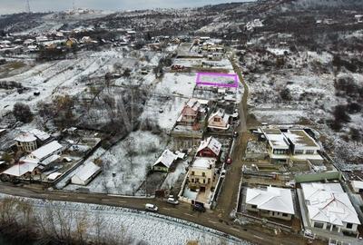 Teren Construcții intravilan de 1000 mp, în Podgoria - 3