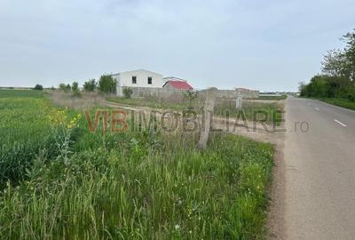 Teren de 9000 mp, în Dascălu