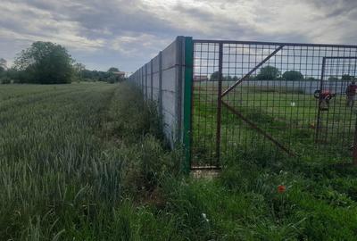 Spațiu comercial, în Dimieni - 3