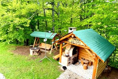 Hotel/Pensiune, de 90 mp, în Trăisteni - 3