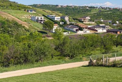 Teren intravilan de 1000 mp, în Săldăbagiu de Munte - 5