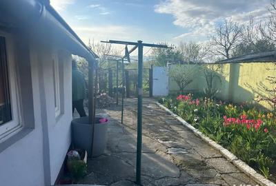 Vand casa 1200metri patrati Vand casa 1200metri patrati - 5