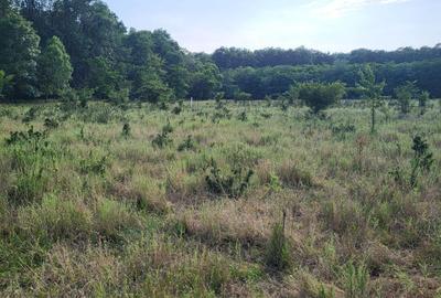 Vanzare Teren intravilan  Pipera Vanzare Teren intravilan  Pipera - 7